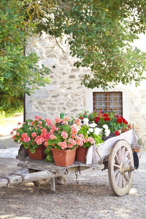 Agriturismo Tenuta Armaiolo Rapolano Terme Luaran gambar